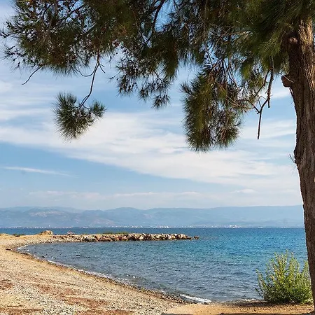 Hattusa Vacation Thermal Club Kazdaglari Güre